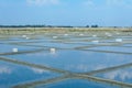 Fleur de Sel Salt Pools