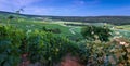 Fleury-la-Rivier, France - Evening Panorama View of the Hillsides of Champagne