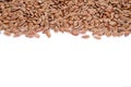Flex seeds on white background. Healthy food concept