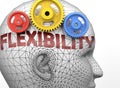 Flexibility and human mind - pictured as word Flexibility inside a head to symbolize relation between Flexibility and the human Royalty Free Stock Photo