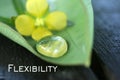 Flexibility. Single word with a droplet on leaf and a little yellow flower. Time to adapt concept. Royalty Free Stock Photo