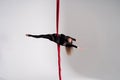 Flexible circus Artist performs on the aerial silk on white background. Concept of willpower, motivation and passion