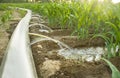 Flexible irrigation tubing system a sunny hot day