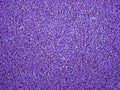 Flexible lilac tile for playground. Tiles made from a mixture of rubber crumb. Royalty Free Stock Photo