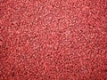 Flexible red tile for playground. Tiles made from a mixture of rubber crumb. Royalty Free Stock Photo