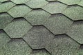 Flexible tile with large pan green colour Royalty Free Stock Photo