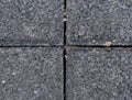 Flexible tile for playground. Tiles made from mixture of rubber crumb Royalty Free Stock Photo