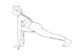 Flexible yogi woman. Hatha yoga fequestrian pose. Vector illustration in white background