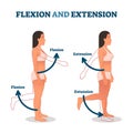 Flexion and extension vector illustration. Anatomical movement description.