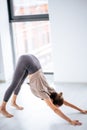 Flexsible girl practicing Ashtanga Vinyasa yoga Royalty Free Stock Photo