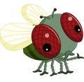 Flies cartoon