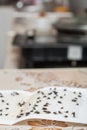 Flies caught on white sticky paper trap Royalty Free Stock Photo