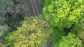 Flight above forest road during spring season, drone top down view, 4K