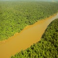 Flight above the jungle by Iguazu river. Royalty Free Stock Photo
