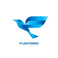 Flight bird - concept logo template vector illustration. Abstract wings creative sign. Graphic design element. Royalty Free Stock Photo