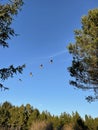 Flight of Canadian Geese honking across the sky Royalty Free Stock Photo