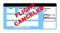 Flight canceled plane ticket