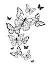 Flight of contour butterflies on white background