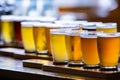 Flight craft beer glasses on wooden tray Royalty Free Stock Photo