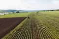 flight of the drone over the green wheat field and over a tractor working in the field. Royalty Free Stock Photo