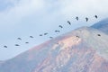 Flight of a flock of pelicans, over the Pacific Ocean Royalty Free Stock Photo