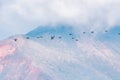 Flight of a flock of pelicans, over the Pacific Ocean. Royalty Free Stock Photo