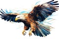 Flight of Freedom: Majestic Illustration of a Bald Eagle - A Powerful Hunter Soaring Through the Blue Sky on White Royalty Free Stock Photo