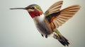 flight hummingbird on white Royalty Free Stock Photo