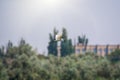 The flight of the little egret in beautiful sunset sky over water. A heron flies over a city pond during sunset Royalty Free Stock Photo