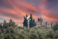 The flight of the little egret in beautiful sunset sky over water. A heron flies over a city pond during an orange-pink sunset Royalty Free Stock Photo