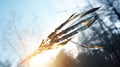flight metal arrows
