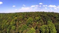 Flight over a forest