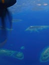 Flight over islands Royalty Free Stock Photo