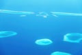 Flight over the Maldivian islands. Royalty Free Stock Photo