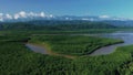 Flight over the river and mangrove forest