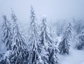 Flight over snowstorm in a snowy mountain coniferous forest, uncomfortable unfriendly winter weather Royalty Free Stock Photo