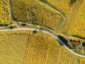 flight over vineyard Alsace France Royalty Free Stock Photo