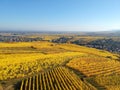 flight over vineyard Alsace France Royalty Free Stock Photo