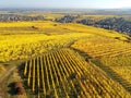 flight over vineyard Alsace France Royalty Free Stock Photo