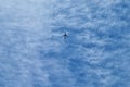 The flight of the plane against the background of the blue sky. Fast and safe transport. Migration Royalty Free Stock Photo