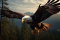 In flight, the regal bald eagle extends its majestic wings