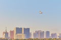 Flight of a seagull against a blue sky without clouds in the early morning. Blurred buildings of the coastal city in the