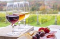 Flight of Three Wines served with a Charcuterie and Cheese Platter