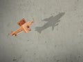 The flight wood airplane with the shadow plane Royalty Free Stock Photo