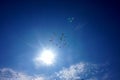 Flighting in the blue sky balloons