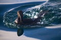 Flightless cormorant swimming in the Galpagos Royalty Free Stock Photo