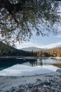 Flims lake at Switzerland, alpine mountains, sunny, summer landscape