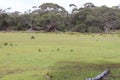 flinders chase natinal park in kangaroo island (australia)