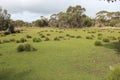 flinders chase natinal park in kangaroo island (australia)