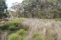 flinders chase natinal park in kangaroo island (australia)